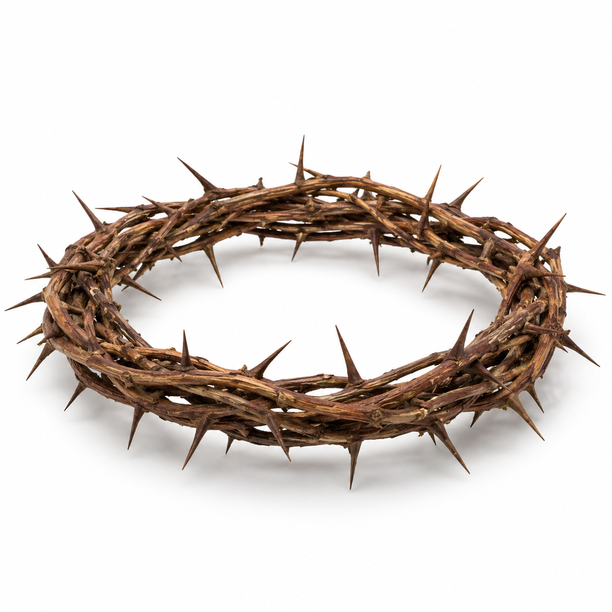 Crown of Thorns